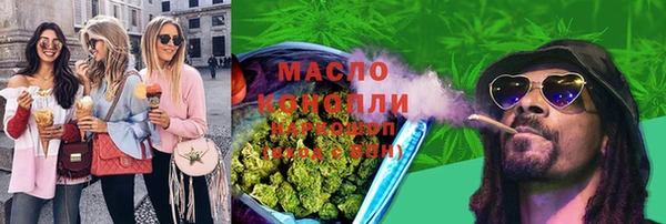 mix Богородицк